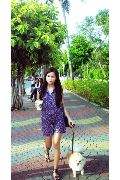 cool story bro jumper. blue nose pittbulls in